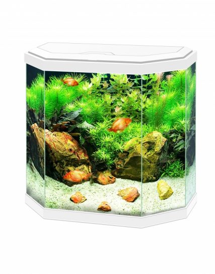 aquarium aqua 30 led Wit 40x20x45,5CM