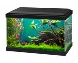 aquarium aqua 20 classic