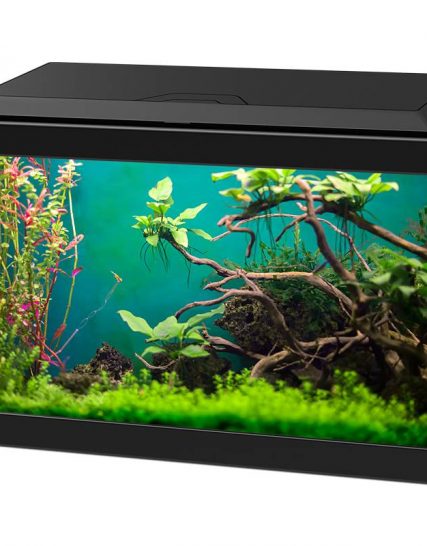 Voorrecht Niet verwacht kam Aquarium Kopen? Bekijk ons aanbod - Fishsupply.nl