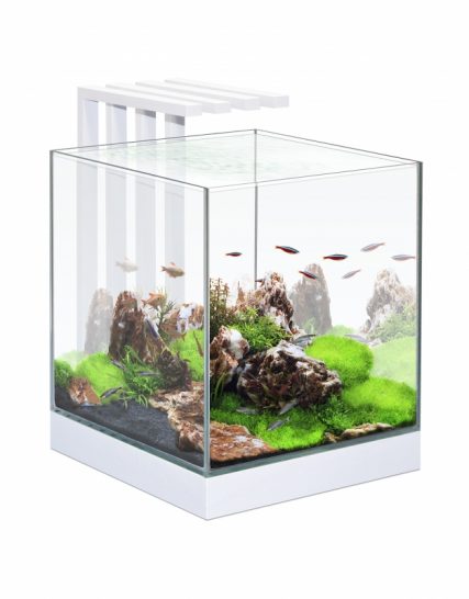 Ciano aquarium nexus pure 25 LED