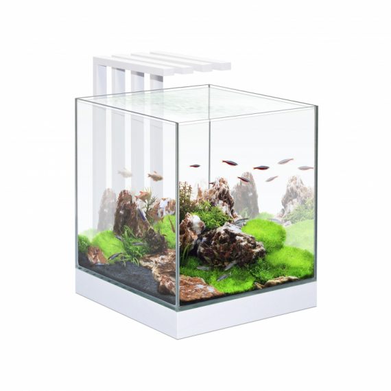 Ciano aquarium nexus pure 25 LED