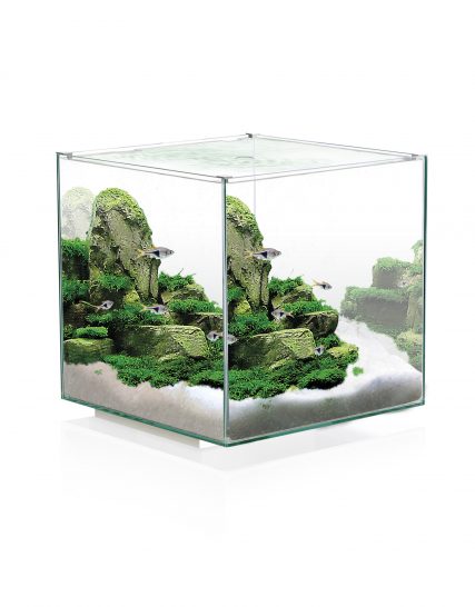 Ciano Aquarium nexus pure