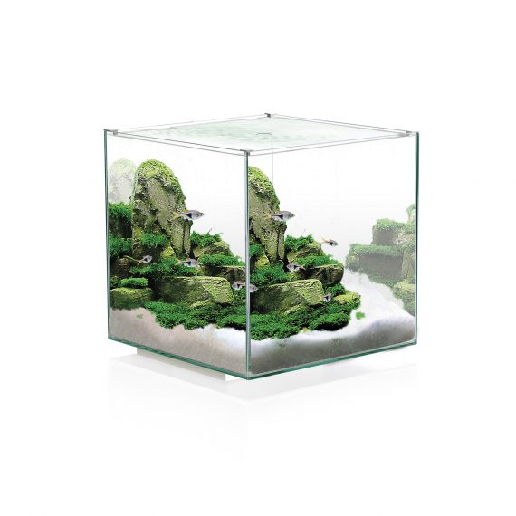 Ciano Aquarium nexus pure