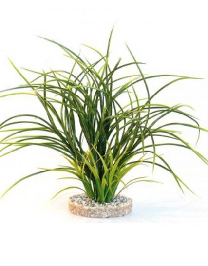 Kunststof plant fan grass 30cm