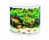 aquarium aqua 30 led Wit 40x20x45,5CM