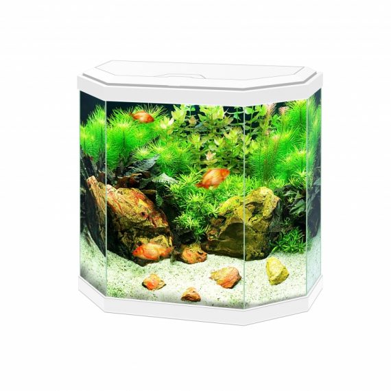 aquarium aqua 30 led Wit 40x20x45,5CM