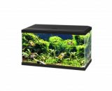 Aquarium 60 led cf80 Zwart 60x30x41cm