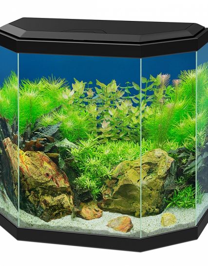 Aquarium aqua 30 led zwart