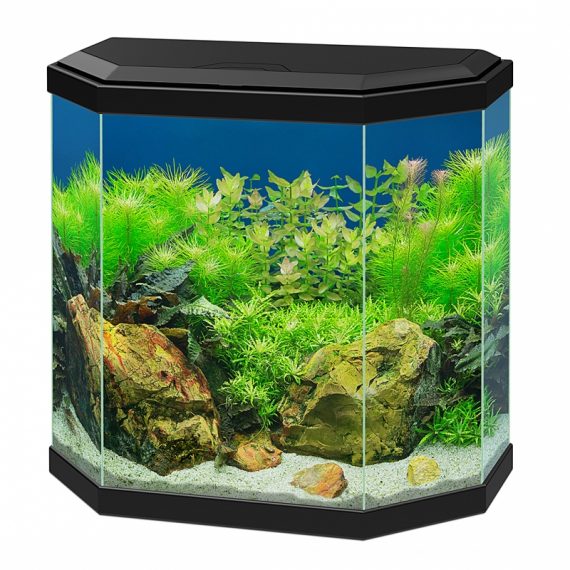 Aquarium aqua 30 led zwart