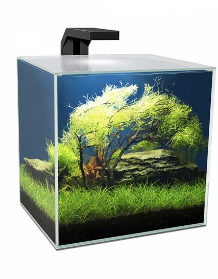 Aquarium cube 15 led 14 liter