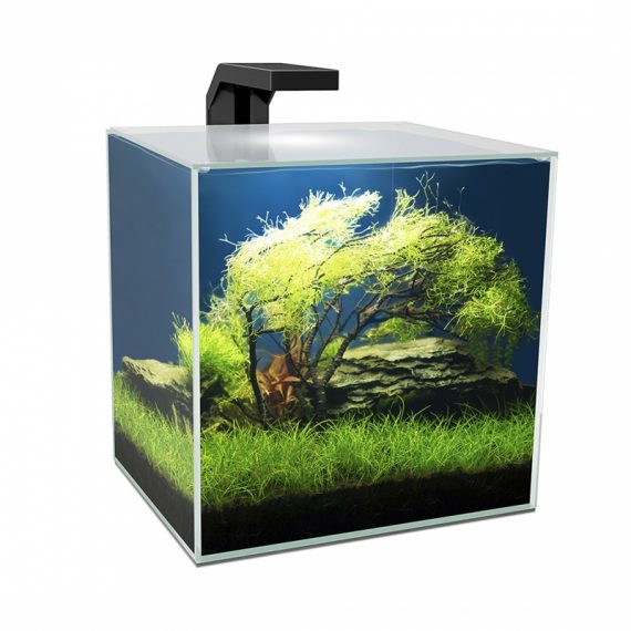 Aquarium cube 15 led 14 liter